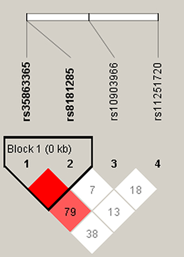 Figure 1 Haplotype block map of PFKP variants. The numbers inside the diamonds indicate the D′ for pairwise analyses.