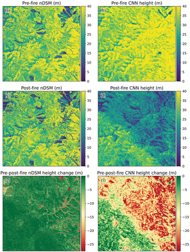 Figure 4. Images showed pre- (a), post-fire canopy height (c) and height change (e) from nDSM and pre- (b), post-fire canopy height (d) and height change from CNN prediction (f).