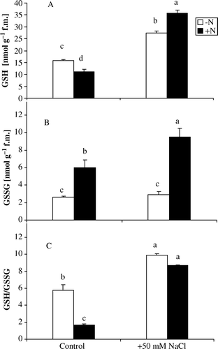 Figure 3.  Changes in reduced glutathione (A), oxidized glutathione contents (B) and GSH/GSSG ratio (C) in Azolla plants exposed to 50 mM NaCl for 10 days in absence of nitrate (−N) or in its presence (+N). Each value is the mean±S.E. of five replicates. Different letters indicate significant differences (P<0.05) between treatments as evaluated by Duncan's multiple comparison test.
