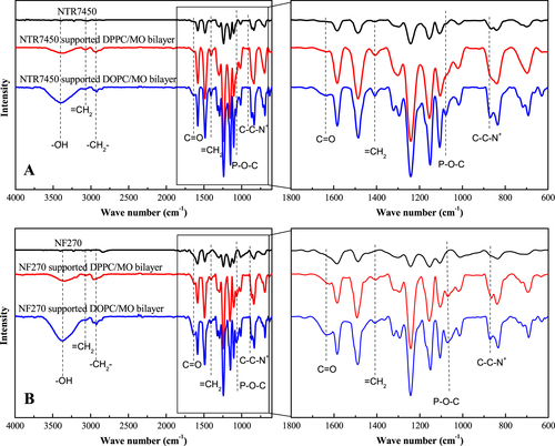 Figure 4. FTIR spectra of NF membrane supported lipid membranes. Top: NTR7450 SLBs (RMO = 5/5) membrane (A); bottom: NF270 SLBs (RMO = 5/5) membrane (B).