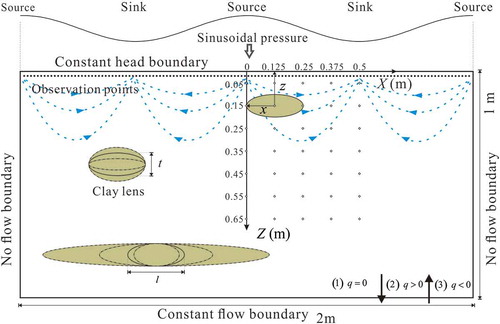 Figure 2. Domain of a numerical model for 2-D dune-induced hyporheic flow. The intervals of vertical and horizontal grid lines were set to 5 mm. The ellipses represent low-permeability lenses. The coordinate system comprises x and z directions, where x represents horizontal location and z the depth of the low-permeability lens. The location of the intermediate source point was set as the origin point (x = 0, z = 0) and the positive directions in x and z were set to be right and downward, respectively. Diamonds represent the distribution of spatial locations of low-permeability lenses.