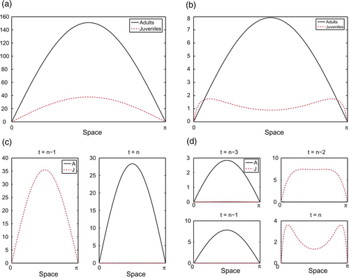 Figure 1. Representative attractors of juvenile–adult IDE model Equation(7). b=25 μ L =μ A =0.2 for all simulations. (a) Temporal equilibrium: D J =D A =0. (b) Temporal equilibrium, spatial segregation of juveniles and adults: D J =0.5, D A =0. (c) Two-cycle, temporal segregation of juveniles and adults: D J =0, D A =0.5. (d) Four-cycle, temporal segregation of juveniles and adults: D J =D A =0.5.