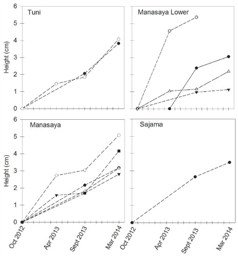 FIGURE 3. Height growth from October 2012 to April 2013, September 2013, and March 2014 for each moss wire site in the four study areas. Each symbol and line represents measurement from one site.