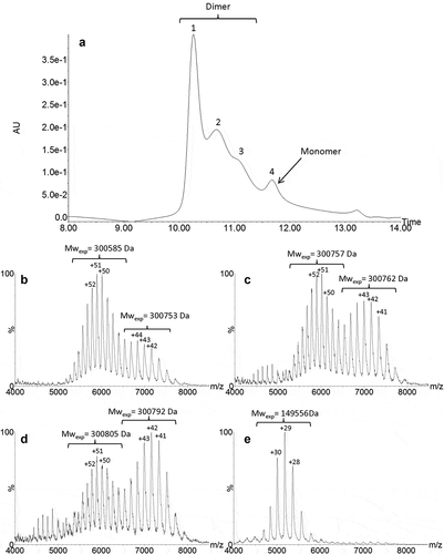 Figure 3. UPSEC-UV chromatogram obtained from the HMW fraction (a). Native mass spectra of peaks 1 (b), 2 (c), 3 (d) and 4 (e), respectively obtained by UPSEC-MS. Theoretical mass of the G0/G0 glycoform of roledumab is 149,778 Da.