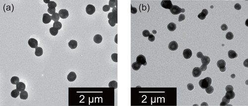 Figure 3. Electron micrographs of ammonium sulfate particles collected through a diffusion dryer. The 20 L chamber was controlled to have 95%RH (a) and 37%RH (b).