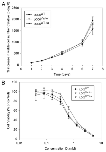 Figure 1 Cell growth and sensitivity to Dt in vitro. LCC6WT cells were stably co-transfected using a lenti-virus vector containing the luciferase gene and green fluorescent protein (GFP) (see Materials and Methods). After transfection and selection, selected cells were collected, determined to be mycoplasma free and subsequently grown in vitro. Tumor cell growth rates were determined following plating of 1,000 cells and as described in the methods, the number of viable cells was determined for 7 days using the Alamar blue assay (A). Sensitivity of the transfected cells to increasing concentrations of Dt was determined using the Alamar blue assay on cells that had been exposed to Dt for 72 hrs. The results presented were determined three times in triplicate and the data points represent the mean (±SEM) of the three independent studies.