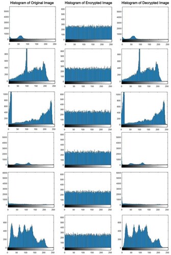 Figure 14. Corresponding histograms results of the different clinical images of Figure 13.