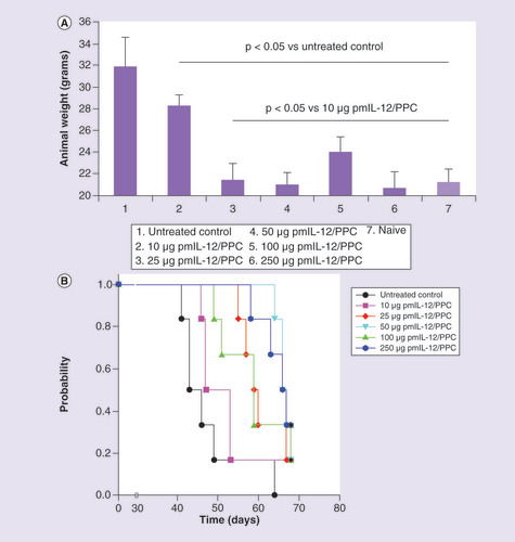 Figure 4. Efficacy outcomes of untreated tumor-bearing mice versus pmIL-12/PPC-treated mice.Animals were given 4 weekly pmIL-12/PPC intraperitoneal administrations starting 20 days after tumor implant. Dosages were adjusted by changes in DNA concentration of the formulation using a fixed injection volume. (A) Comparison of animal weights at 42 days after tumor implant. Values are expressed as mean ± standard deviation with n = 5 for each point. (B) Kaplan–Meier survival curves for various treatment groups (n = 5 for each group).Reproduced with permission from [Citation42] © John Wiley and Sons, Inc. (2009); permission conveyed through Copyright Clearance Center, Inc.