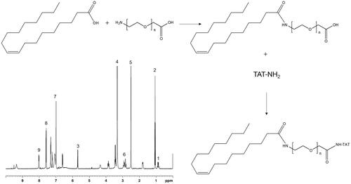 Figure 1. Synthesis of TAT conjugated lipid ligand: TAT conjugated lipid ligand was synthesized by conjugating TAT with OA, using PEG as a linker (TAT-PEG-OA). The chemical structure of TAT-PEG-OA was confirmed by 1H NMR spectrum.