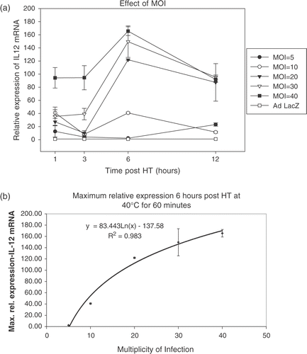 Figure 5. Effect of multiplicity if infection (MOI). CrFK cells were infected at various MOIs and heated at 40°C for 60 min. A dose-response relationship is seen (a) with the curve for maximum relative expression tending to flatten out at higher MOIs (b).