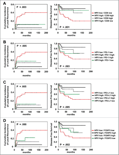 Figure 4. Prognostic impact of (A) combined HPV viral load/CD8+ expression and (B) combined HPV viral load/PD-1 expression and (C) combined HPV viral load/PD-L1 expression and (D) combined HPV viral load/FOXP3 expression on cumulative incidence of local recurrence and disease-free survival, as indicated. Analysis was based on the dichotomized total score in patient tumor samples (cut-off according to median value of total score).