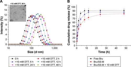 Figure 4 Redox-sensitive size change. Magnification ×250,000. (A) and drug release in vitro (B) of Bru/SS-M in presence of 10 mM DTT.Abbreviations: Bru, brusatol; DTT, dithiothreitol.