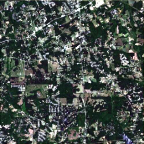 Figure 11. Real visible image captured by Landsat 8 OLI (path/row: 019/037) on May 12, 2022.