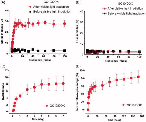 Figure 2. (A) Storage and (B) loss moduli of GC10/DOX hydrogel precursor before and after visible light irradiation, (C) the swelling ratio of GC10/DOX cured with the light for 10 seconds, and (D) in vitro release percentage of DOX as a function of time. These experiments were carried out three times.