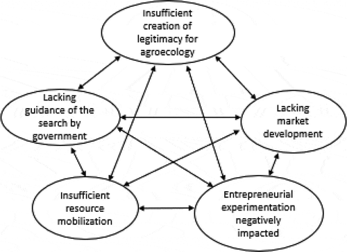 Figure 7. Vicious cycles between central functions that hinder the further diffusion of agroecology (arrows indicate interrelationships between issues).