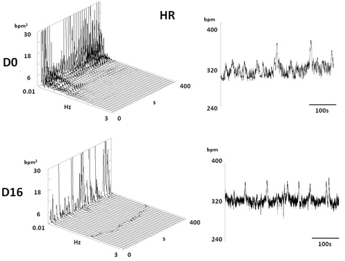 Figure 10. A typical HR spectrum of one rat before and after treatment with DOX. Note a decrease of spectral power in lower frequencies (VLF and LF) 16 days after treatment by DOX.