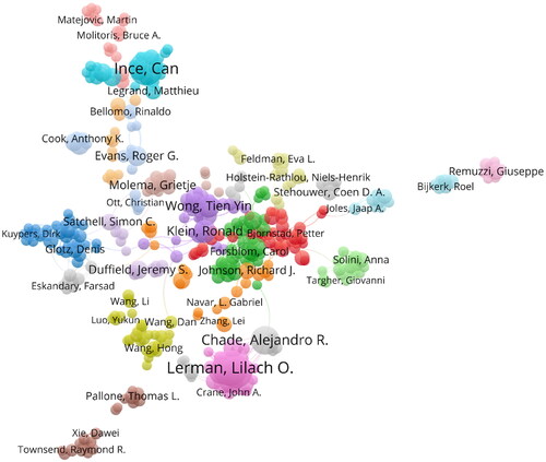 Figure 4. Network visualization map of author collaborations in the field of renal microcirculation. Nodes signify authors, with their size reflecting each author’s publication volume. Colors identify different clusters. Links between nodes illustrate collaborative relationships, with their thickness indicating the strength of cooperation.