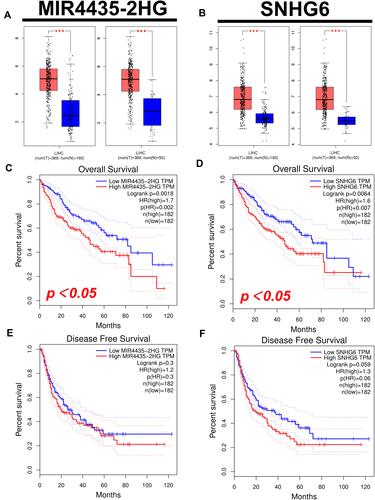 Figure 5 Expression and survival analysis of upstream lncRNAs of miR-22-3p or miR-101-3p in HCC. (A and B) The expression of MIR4435-2HG (A) and SNHG6 (B) in TCGA HCC compared with “TCGA and (or) GTEx normal” data. (C and D) The OS for MIR4435-2HG (C) and SNHG6 (D) in HCC. (E and F) The RFS for MIR4435-2HG (E) and SNHG6 (F) in HCC. ***p value < 0.001.