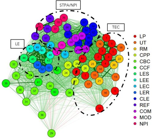 Figure 5. The network generated by all the scales’ items for the Intermediate group (n = 216), with three clusters still somewhat separated but more intermeshed: STPA/NPI, TEC, and LE.