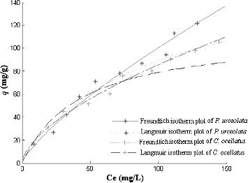 Figure 7. Adsorption isotherms of Cr(VI) by Polysiphonia urceolata and Chondrus ocellatus. Ce – the Cr(VI) concentration remaining in solution at equilibrium (mg/L).