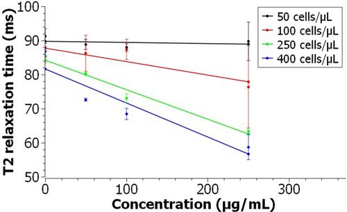 Figure 7 T2 relaxation time of A549 cells labeled with PEG-coated IONPs as a function of the Fe concentration. Error bars indicate standard deviations of experiments repeated in triplicates.