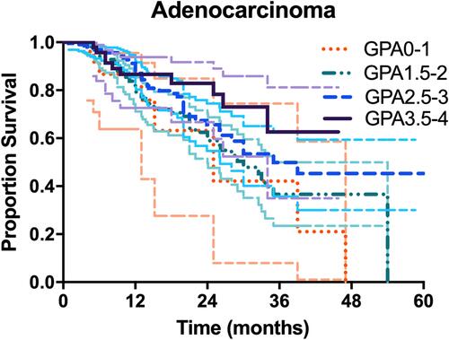 Figure 2 Survival curves stratifying lung adenocarcinoma patients by the Lung-molGPA.
