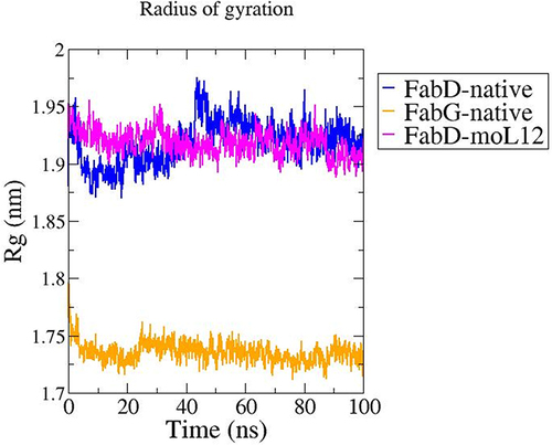 Figure 11 Rg plot obtained from MD Simulation at a total time interval of 100 ns for the FabG and FabD proteins in their native forms (modeled) and FabD-moL12 complex. Plots as obtained from MD simulations performed in Gromacs 2019.1 package and analysed using XMgrace software.