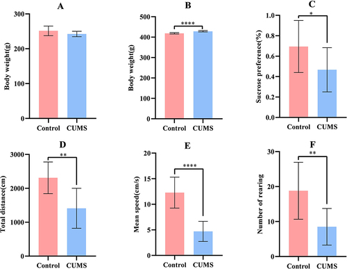 Figure 1 Comparison of body weight and behavioral tests between in the two groups. (A) Baseline body weight of rats; (B) Body weight of rats after modeling; (C) Sugar water preference coefficient of rats; (D)Total distance of rats; (E) Average speed of rats; (F) Number of rearing of rats; (n=10), (*P<0.05, **P<0.01, ****P<0.0001).