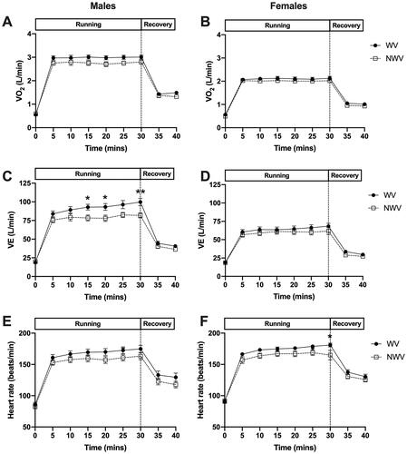 Figure 2. Cardiorespiratory responses to weighted vest running. There was an increase in VO2 in the weighted vest condition in males (A, p < 0.001), and females (B, p < 0.01). This was associated with an increase in ventilation in males (C, p < 0.001) and females (D, p < 0.05) and an elevation in heart rate in males (E, p < 0.001) and females (F, p < 0.001). *p < 0.05; **p < 0.01 WV vs. NWV.