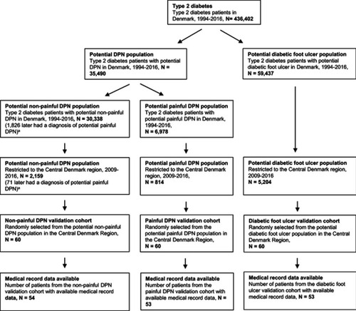 Figure 1 Flowchart of study population. Overview of patient selection. aOf the 30,338 patients with potential non-painful DPN, 1826 later fulfilled the criteria for potential painful DPN. Thus, these patients are included in both the non-painful and painful DPN populations at two distinct time points. Likewise, after restricting to the Central Denmark region, 2009–2016.Abbreviation: DPN, diabetic polyneuropathy.