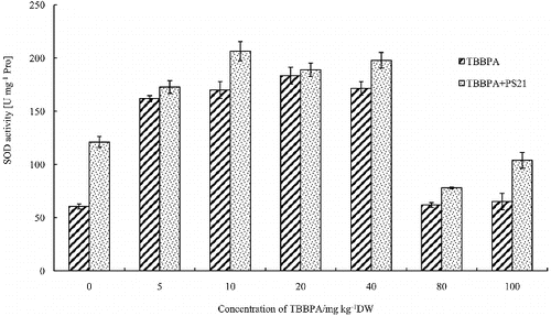 Figure 3. Changes of the SOD activity in wheat leaves with combined treatment of PS21 and different concentrations of TBBPA. Values are mean ± SD and bars indicate standard deviation. TBBPA: treatment with various concentrations TBBPA (0–100 mg kg−1 DW); TBBPA + PS21: with combined treatment with PS21 and various concentrations TBBPA (0–100 mg kg−1DW).