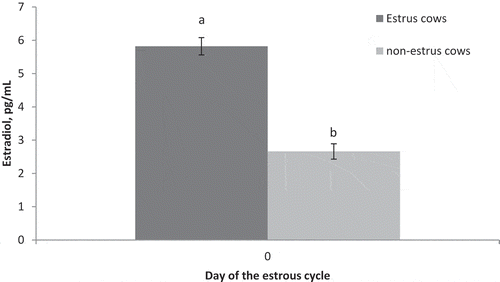 Figure 1. Circulating concentrations of estradiol on Day 0 of the estrous cycle for cows in the estrus and non-estrus groups. abP < 0.01.