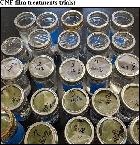 Figure 4. Different treatments (film compositions) for the study, with three to five replicates per treatment. The top row are the open mason jars. The second row are the mason jars covered with plastic film (industry standard). The third row are mason jars covered with 100% CNF films. The fourth row are composites of 90% dried CNF and 10% spirulina. The fifth row are composite films of 80% dried CNF and 20% dried spirulina.CNF film treatments trials: