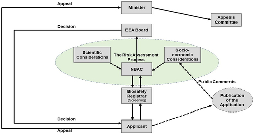 Figure 1. The application process for genetically modified organisms in Eswatini.