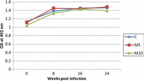 Figure 2.  Antibody response against affinity purified F. gigantica conventional antigen in different experimental groups.