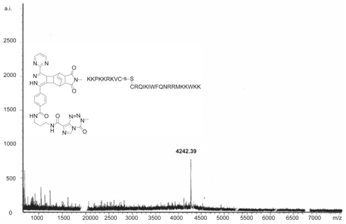 Figure 1 Mass spectrometry plot of the TMZ-BioShuttle (as shown in Table 3) demonstrates the estimated molecular mass. The ordinate represents the absolute intensity (a.i.); the abscissa the mass to charge ratio (m/z).