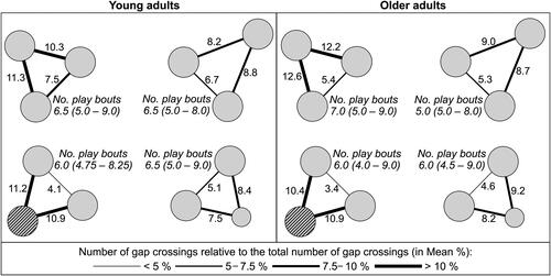 Figure 3. For both young and older adults clockwise from the upper left: the ‘standard’ configuration, ‘size’ configuration, ‘gap width’ configuration, and ‘height’ configuration (hatched circle represents the higher stone). Next to each gap we present the average number of crossings as a percentage of the total number of gap crossings (number of times the gap was crossed/ total number of gap crossings * 100)Footnote2. The thicker the line of the gap, the more frequently the gap was crossed. In addition, the medians and interquartile ranges of the number of play bouts are presented for each configuration.