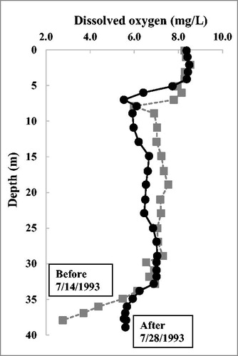 Figure 4. Initial effect of the HOS on deeper water layer. HOS started in partial operation on 23 July 1993 and was in full operation by the 28 July. Squares and gray dotted line correspond to 14 July 1993 before oxygenation; circles and full line represent 28 July 1993 after oxygenation.