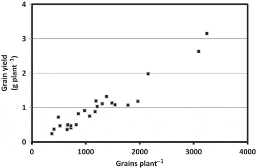 Figure 3 Relationship between grain number and grain yield in Camelina sativa L.