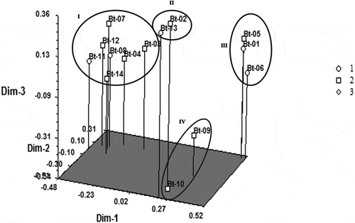 Figure 5. 3-D principal component analysis (PCA) of 14 noncommercial bananas showing relationships based on ISSR data