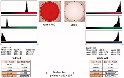 Figure 1. Analysis of the scanned image of the bottom of a 96-well plate by ImageJ®, the red well was obtained with normal RBC following the protocol described in the text. The white well was obtained using the same protocol with RBC-free media. The abbreviations r, g and b were used for the colors red, green and blue, respectively.
