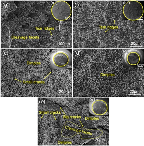 Figure 10. Tensile fracture surfaces of different specimens: (a–d) 420SS, Stellite 6, 17-4PH and 18Ni300 deposits, (e) untreated crossing nose, in which the (a1–e1) graphs are the full views of the corresponding tensile fracture surfaces.
