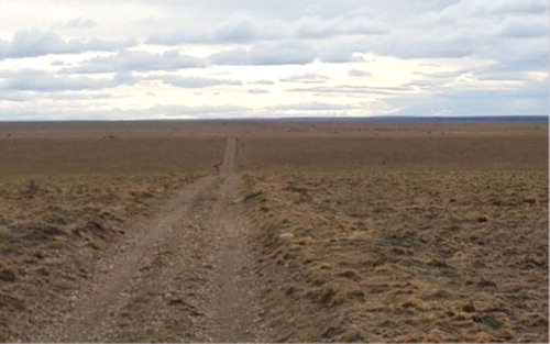 Figure 6. Low, elongated and rounded frontal moraine ridge in the northeast corner of the study area (seen from east).