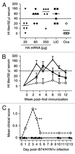 Figure 10. Immune effects of RNActive® vaccines in ferrets and pigs and protective efficacy in pigs. (A, B) Immunogenicity of RNActive® vaccines was assessed in six-month-old male ferrets (n = 6/group) that were immunized intradermally with 20, 80 or 250 µg of Re6HA RNActive® vaccine or 80 µg of Ova RNActive® vaccine, or intramuscularly with 500 µl of the licensed vaccine Celvapan® (LIC) which contains 7.5 µg C7HA. mRNA was injected at weeks 0, 1, and 6. Celvapan® was injected at weeks 0 and 3. (A) HI titers were measured 2 weeks after the booster vaccination (week 3 for RNActive® vaccine, week 5 for Celvapan®). (B) The kinetics of HI titers was recorded over the whole experiment for groups treated with 250 µg Re6HA, 80 µg ovalbumin (ova) or Celvapan (symbols are the same in panels A and B). Data are expressed as mean + s.d. for clarity and represent two independent experiments. (C) 2-mo-old seronegative pigs (n = 5/group) were immunized on days 0 and 21 with 250 µg of each Re6HA, Re6NA, and PR8NP RNActive® vaccine, 500 µl Mutagrip 2011/2012, or buffer. On day 16 post-immunization, animals were infected with 106.5 TCID50 of A/Bayern/74/2009 (B74/H1N1v) virus. Clinical symptoms were measured in a blinded fashion and were recorded over the ensuing 13 d (*: impaired general condition 5/5 buffer-treated animals, **: impaired general condition 4/5 buffer-treated animals). Further details in Petsch et al.25.