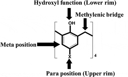 Figure 5. The calix[4]arene’s functionalisation sites.