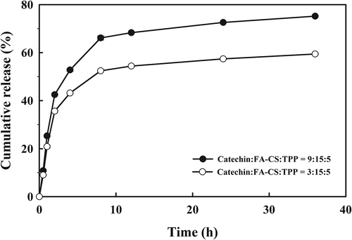 Figure 4. In vitro release profile of CFC-NPs with different mass ratios of catechin, folate-conjugated chitosan, and TPP.Figura 4. Perfil de liberación in vitro de CFC-NPs con ratios de masa diferentes de catequina, quitosano conjugado de folato y TPP.