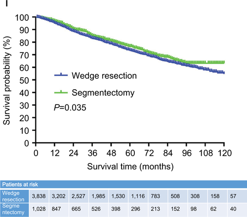 Figure S2 Lung cancer-specific Kaplan–Meier survival curves for patients according to (A) sex, (B) age, (C) race, (D) marital status, (E) lobe, (F) pathology, (G) differentiation, (H) tumor size, and (I) surgery.Abbreviations: AC, adenocarcinoma; SC, squamous cell carcinoma.