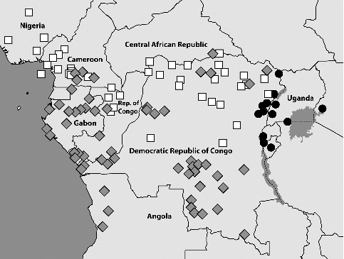 Fig. 7. Central African samples locations (generally verified through voucher photos) for the three species in the dorothea-complex: B. dorothea (white squares), B. moyses (grey diamonds), and B. jefferyi (black circles). Most locations in Gabon are sourced from Vande weghe (Citation2010) while remaining data generally acquired from photos of voucher specimens in the collections of ABRI and MRAC. Some additional data are taken from fieldwork notes and photos by the authors and collaborators. The distribution of B. dorothea extends further to the west throughout all forested areas of West Africa (not shown), but in this region the two other species are fully absent.