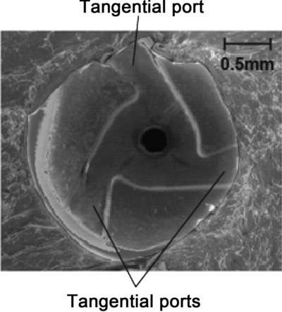 FIG. 2 80× SEM image of a cutaway of the nasal spray device showing the nozzle orifice and its tangential ports. The orifice diameter is 0.28 mm.