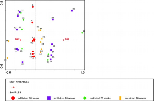 Figure 10. RDA analysis depicting the BLL fragments stained by IgG that tended (Environmental variable B92) to or significantly explained (environmental variable B42) the body weight at slaughter with diet and body weight at 20 weeks as covariates. Circles: ad libitum fed, 26 weeks of age (calves 1–11), squares: ad libitum fed, 20 weeks of age (calves 12–23), diamonds: restricted fed, 26 weeks of age (calves 24–28 + 37), and bars: restricted fed, 20 weeks of age (calves 29–36 + 38). Numbers represent individual calves. Fragments of B92 (low body weight) and B42 explained 11% of the variation in body weight at slaughter.